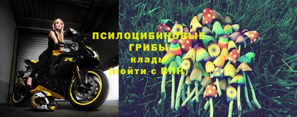 круглые Алексеевка