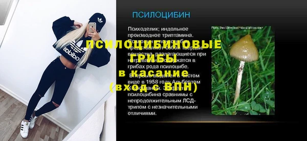 МДПВ Михайлов