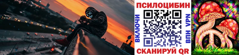 Псилоцибиновые грибы Psilocybe мега сайт Орёл